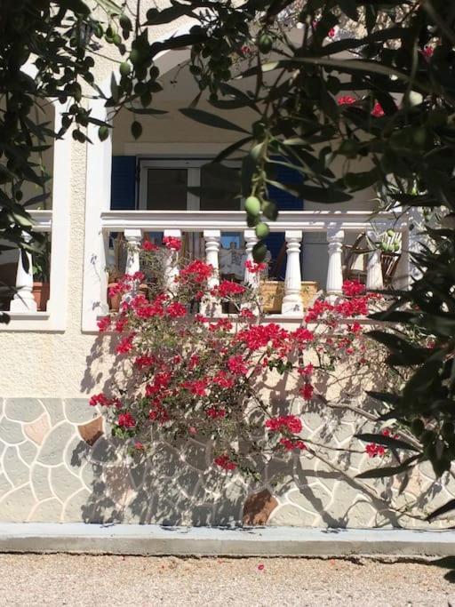 Relaxing Rural Retreat In Mainland Greece
