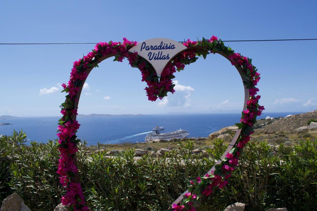 Paradisia
