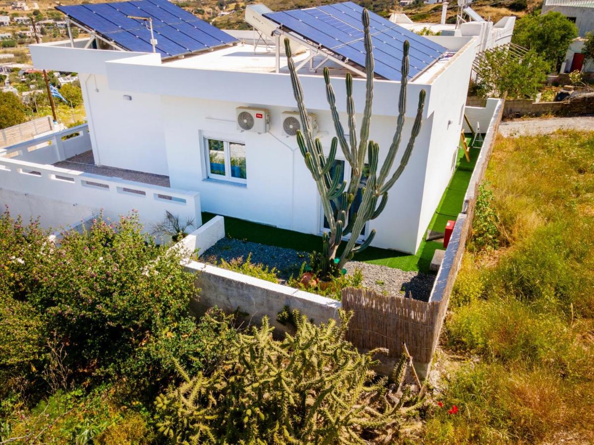 Cactus Guesthouse, συρος
