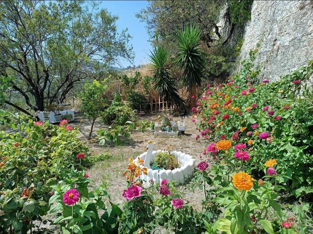 Apartment Mavrikou Helen Skyros