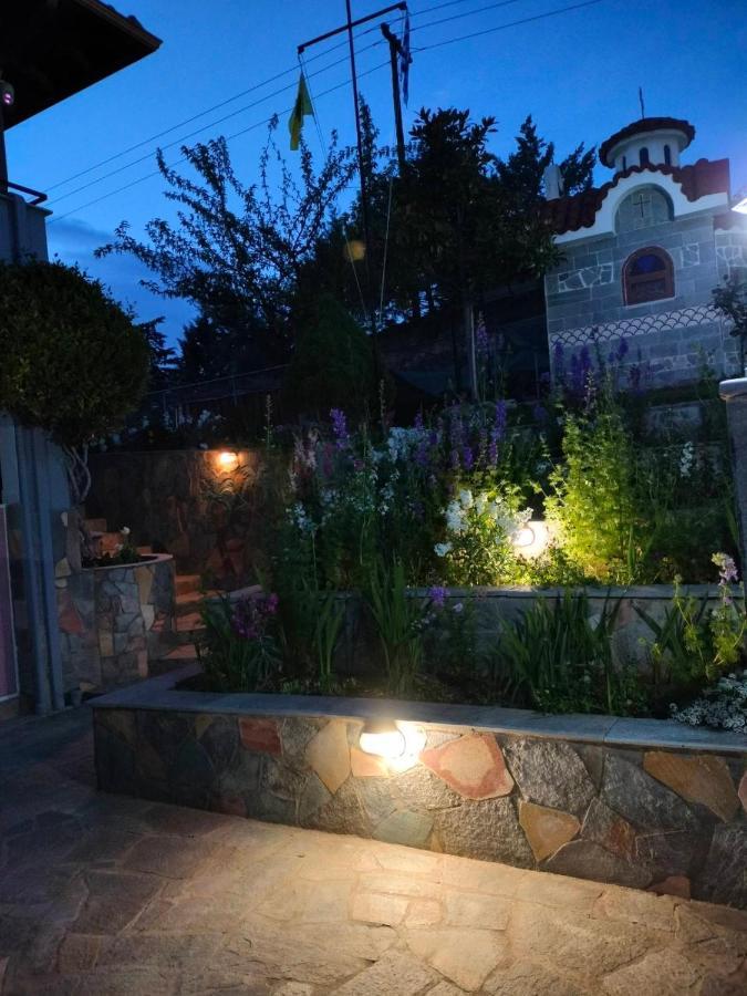 Adam's House 2019 * Kariani