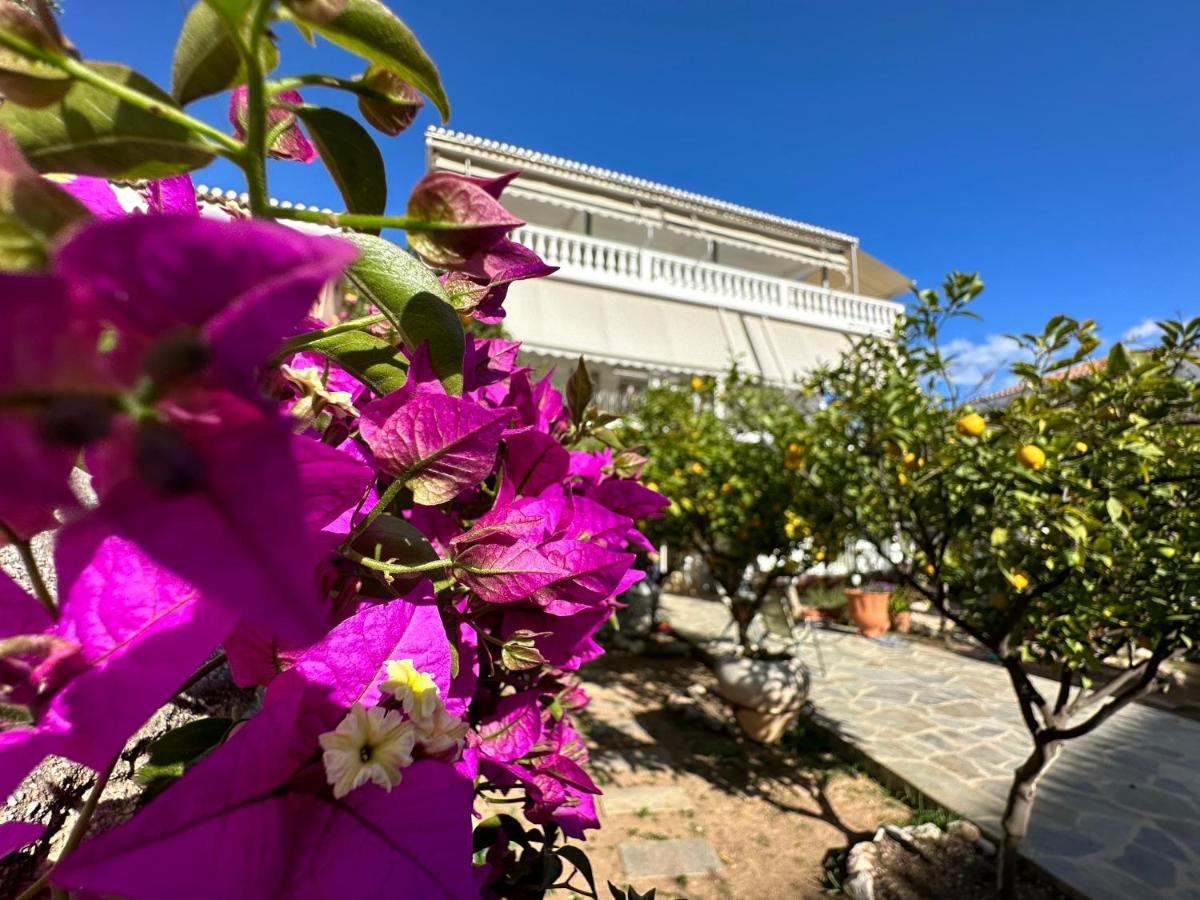 Kamelia Hotel Spetses Town