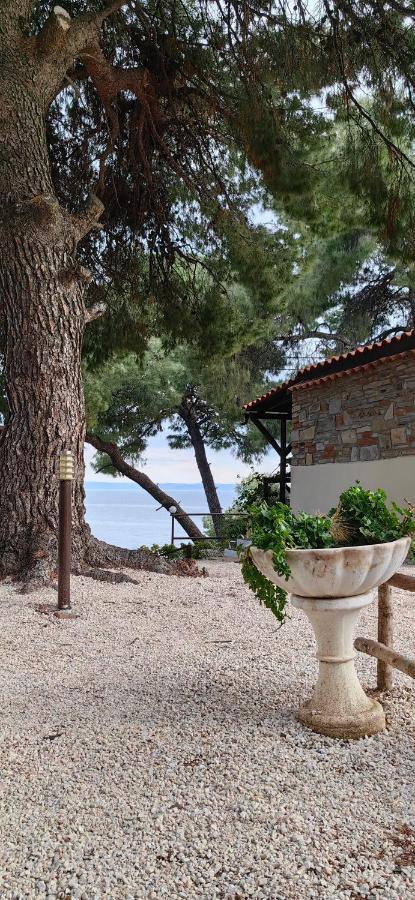 Grandmas Paradise Psakoudia