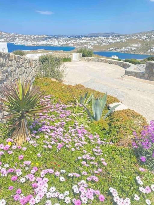 Eirene Mykonos Villa