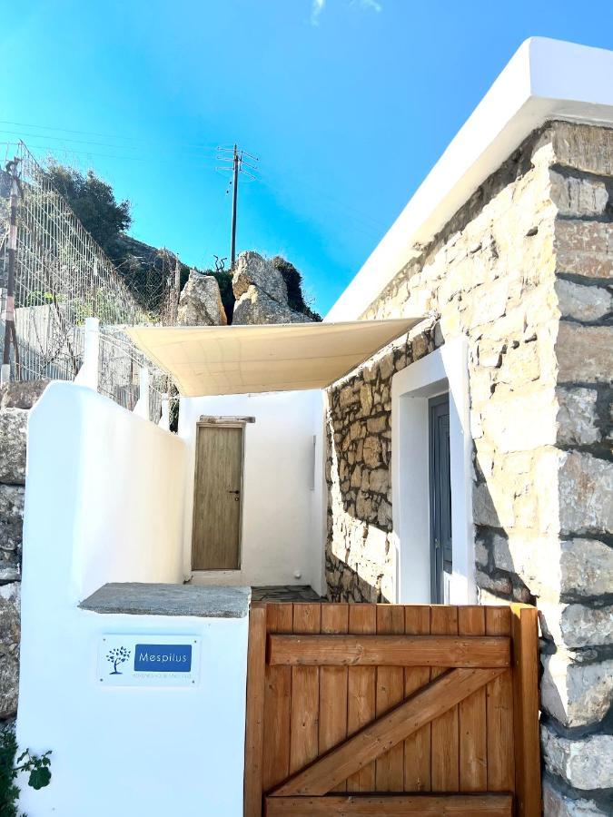 Mespilus House Apartment Koronos