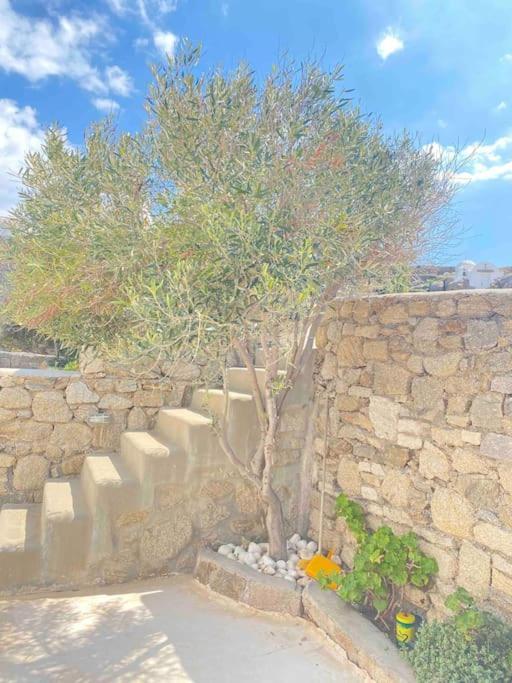 Villa Eirene Mykonos