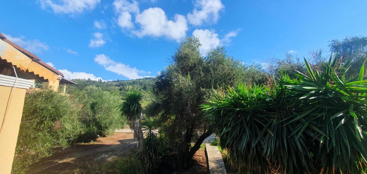 Katerina Apartment Agios Georgios Pagon