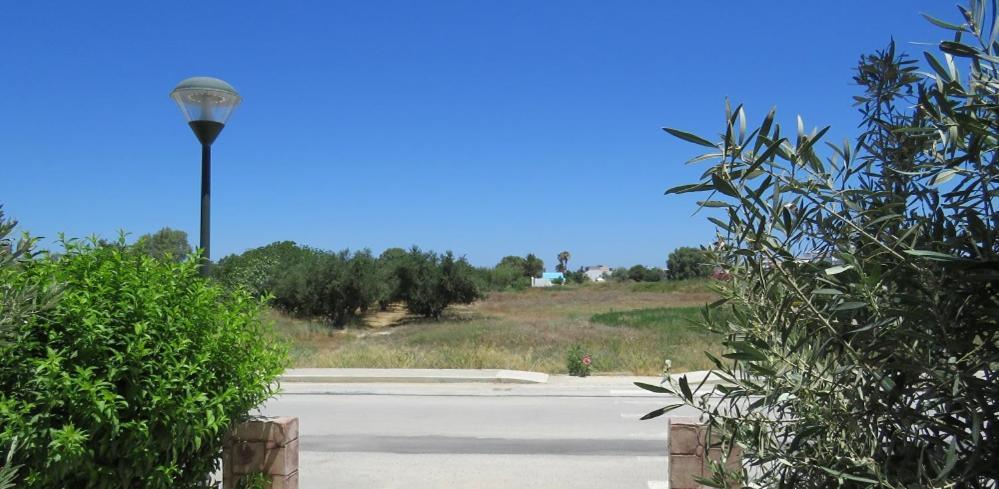 Apartment Elia Mare *