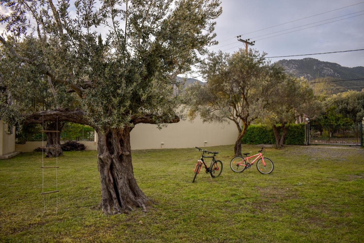 House - με μεγάλο κήπο Holiday home