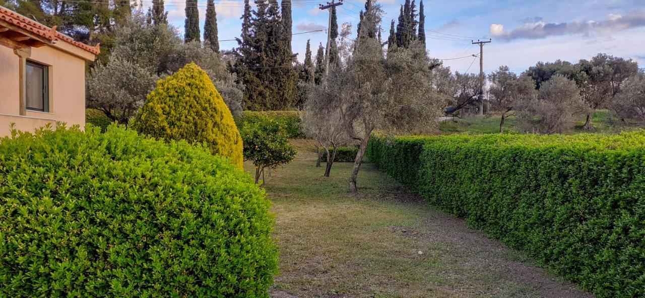 House - με μεγάλο κήπο Holiday home Nerotrivia