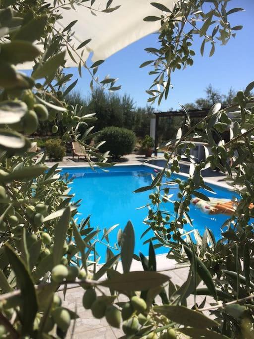 Apartment Relaxing Rural Retreat In Mainland Greece *