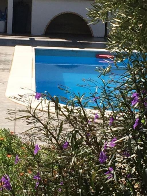 Relaxing Rural Retreat In Mainland Greece *