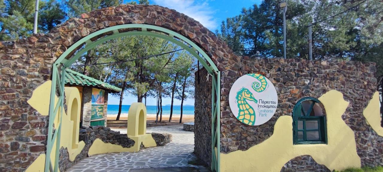 Authentic House Chalkidiki Greece 6p Seaview Holiday home *