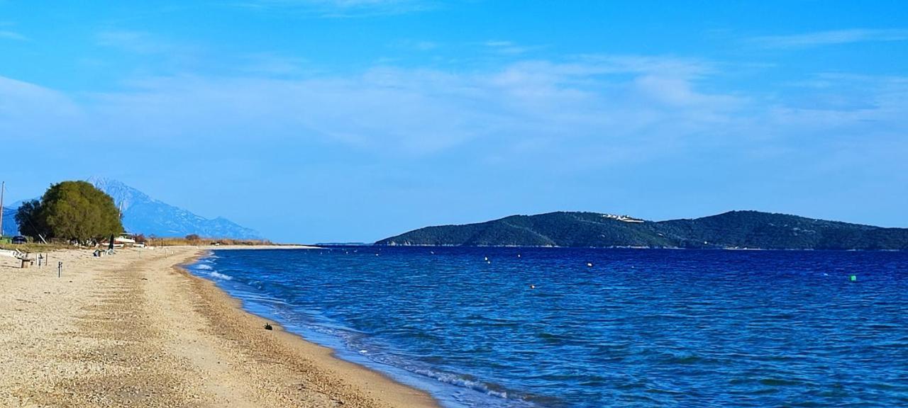 Authentic House Chalkidiki Greece 6p Seaview