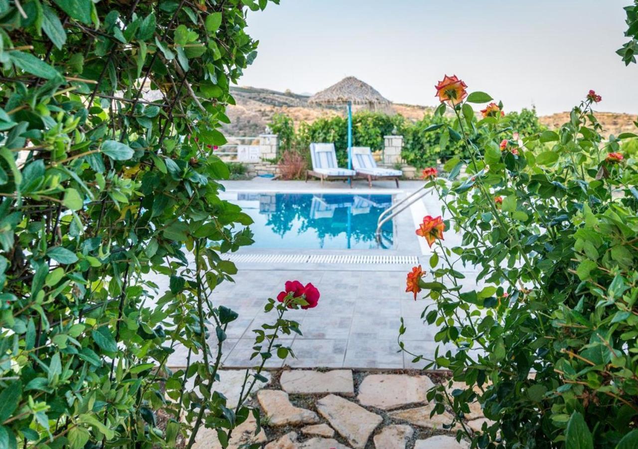 Zeus's Daughtes Villa Pitsidia