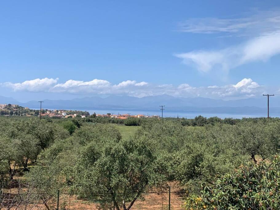 - Monemvasia Municipality * Elia (Laconia)