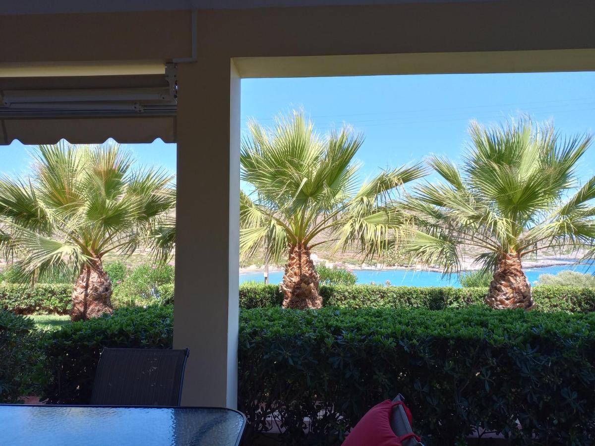 Apartment Tholos Bay