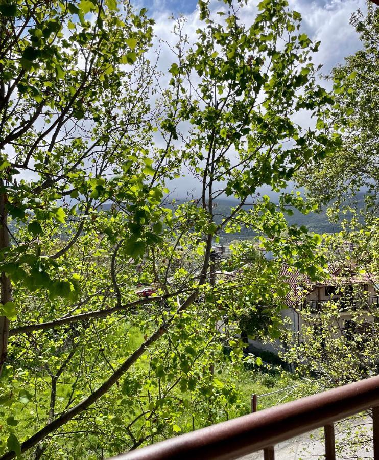 Vaya & Platamonas