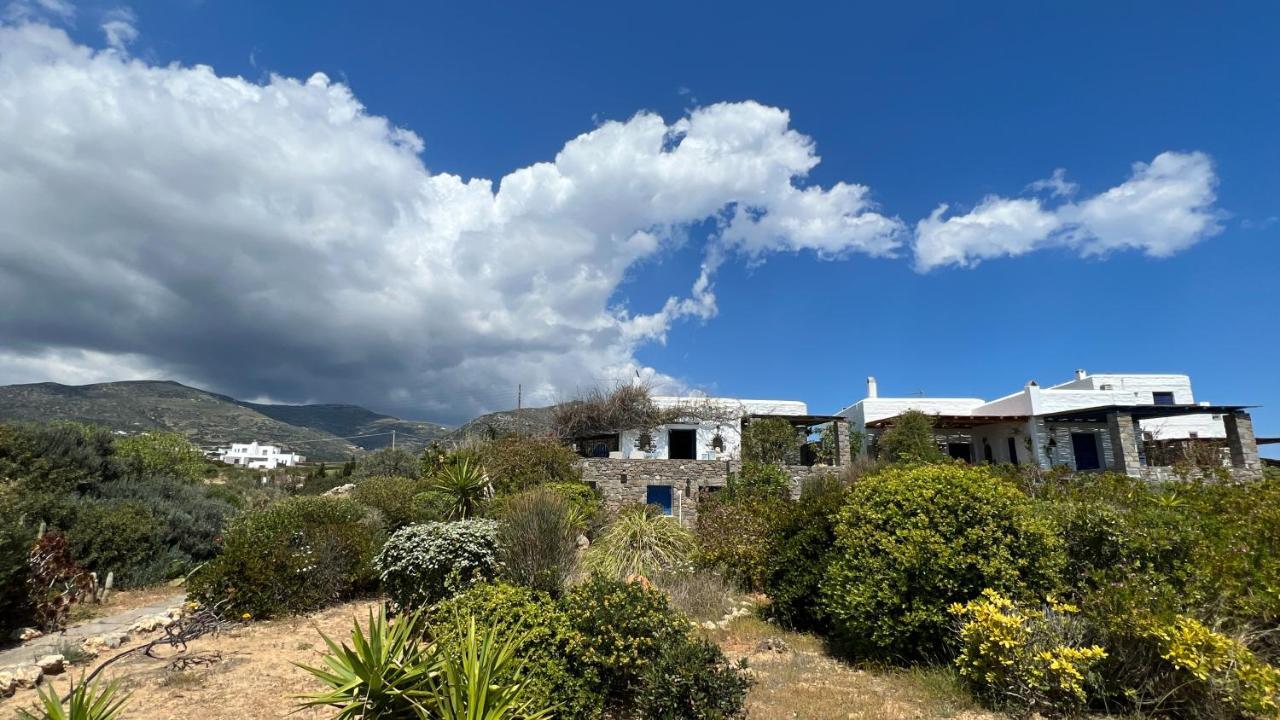 Sophia Paros - Beachfront At Lolantonis