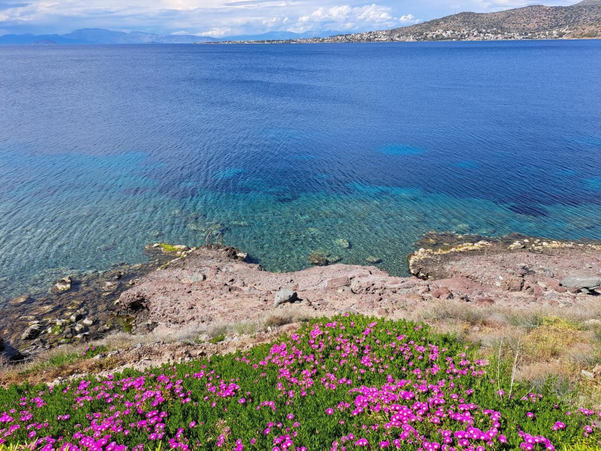 Holiday home Almyra Seaside *