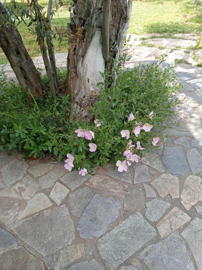 Ktima Anastasia *