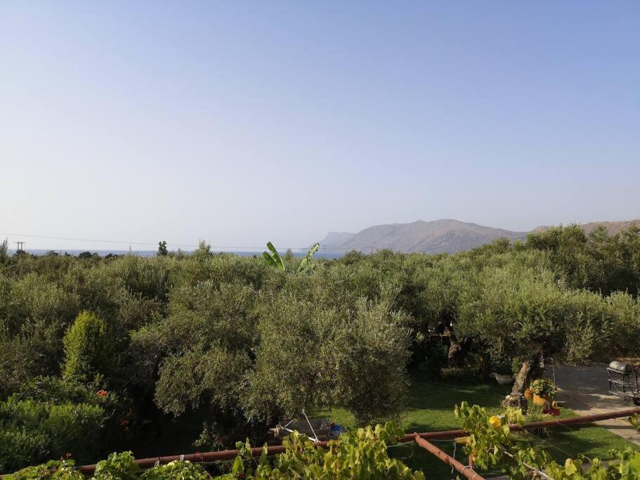 Holiday home Sunshine Studio Kissamos