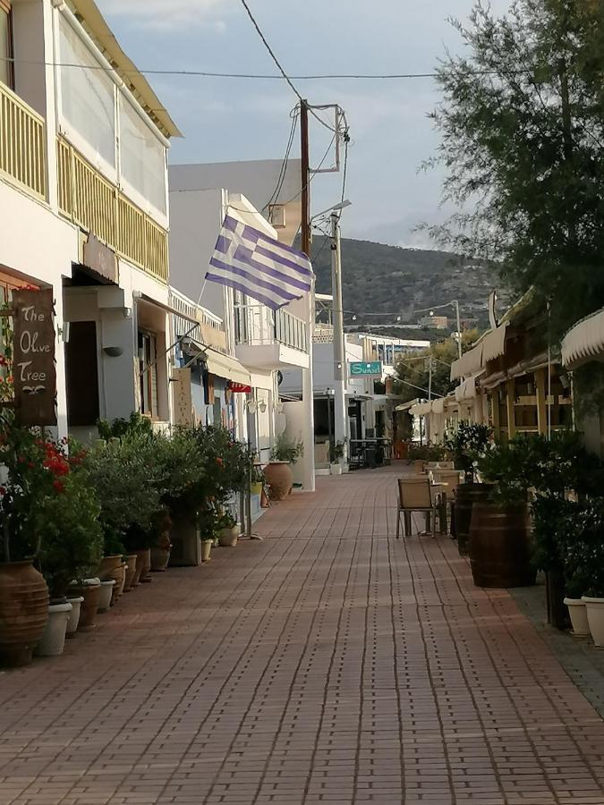 Makry Gialos Grapevines 11 - Makry Gialos Holiday home
