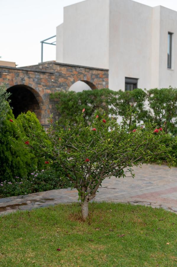 Apollonia View