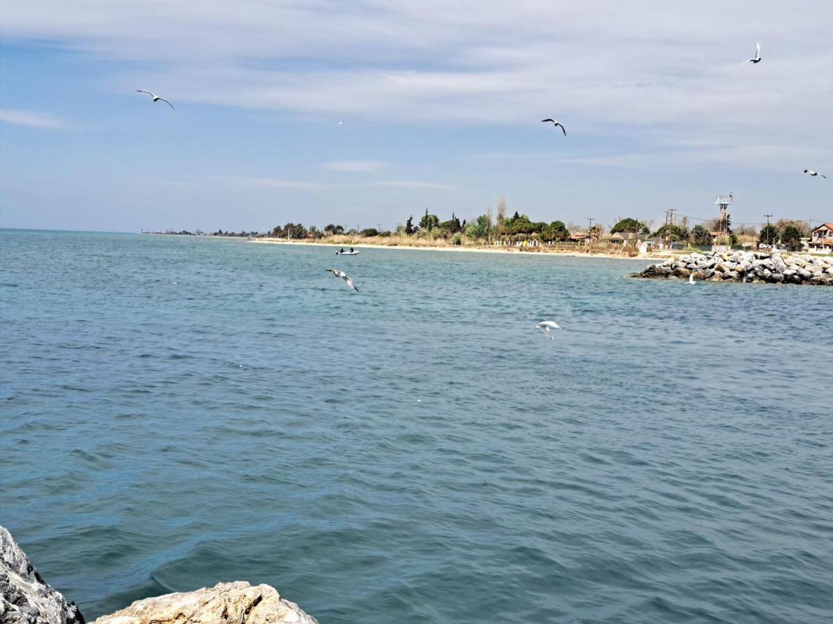 Perla Sea View Apartment *