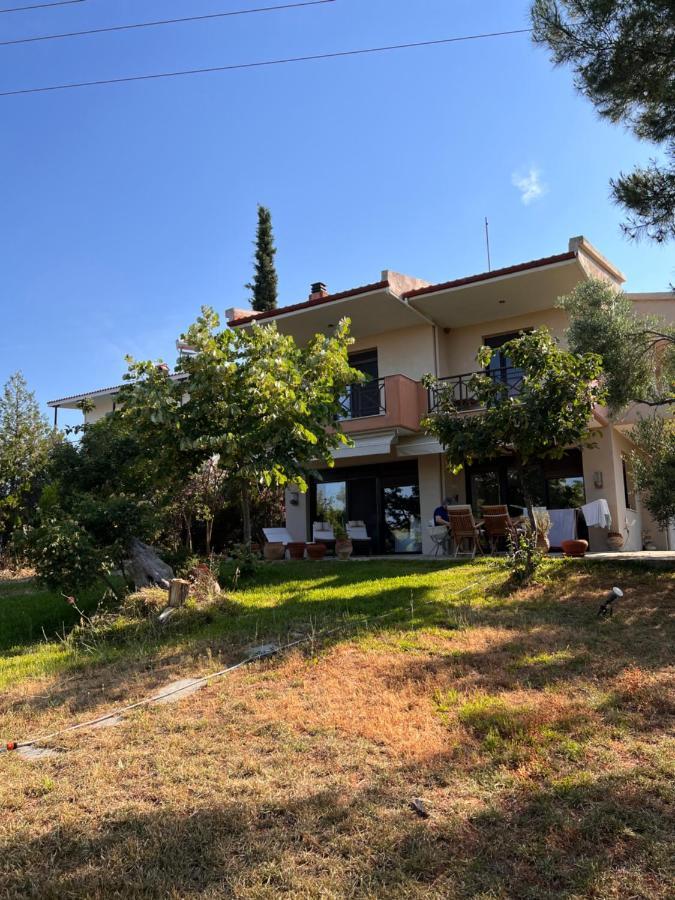 Country Villa Nikiti (Sithonia)