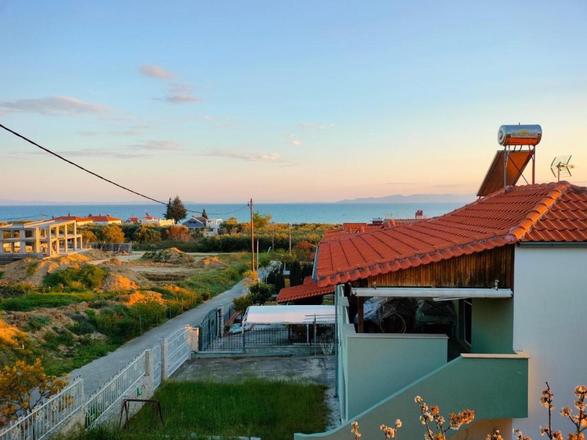 Adam's House 2019 *