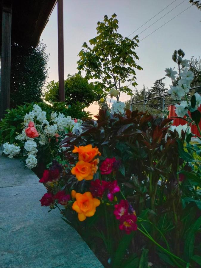 Adam's House 2019 *