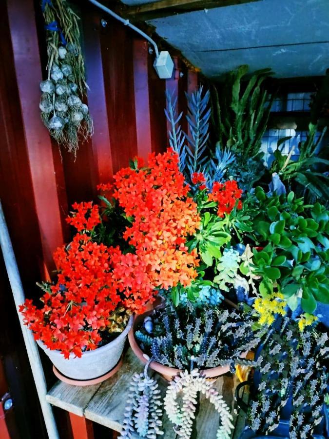 Holiday home Adam's House 2019 Kariani