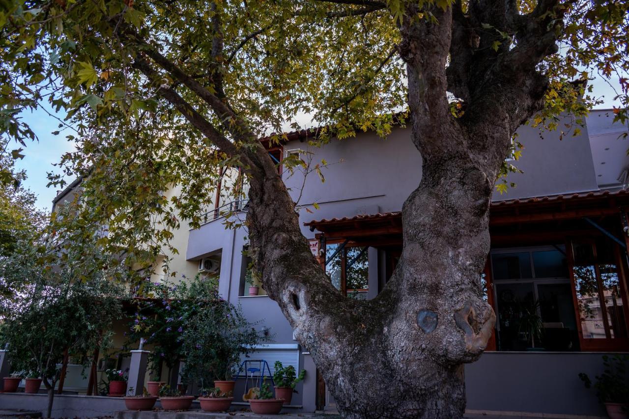 Hotel Kipos Nea Peramos (Macedonia)