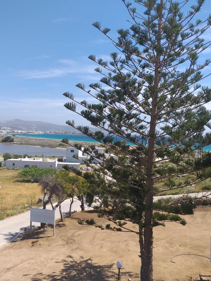 Panoramic View Apartment