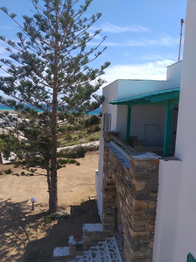 Apartment Panoramic View