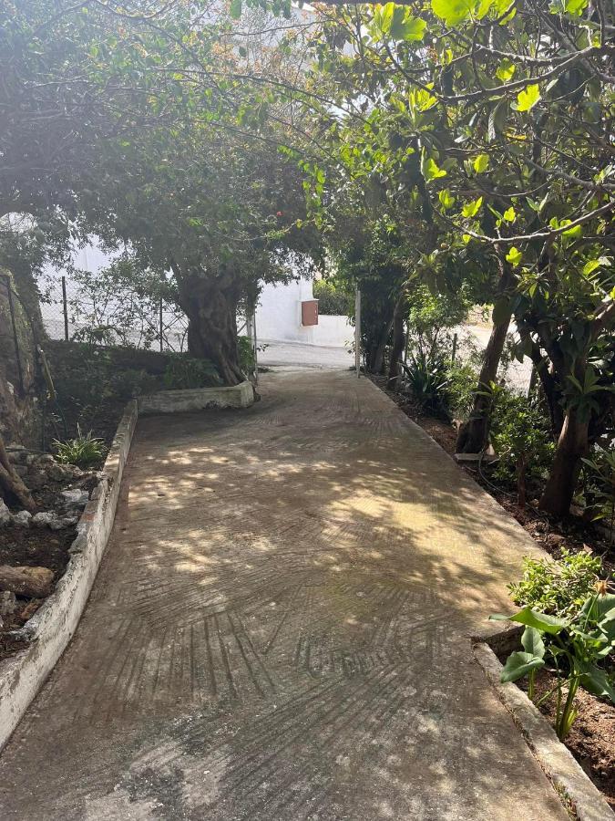Apartment Aegean Summer House Poros Town