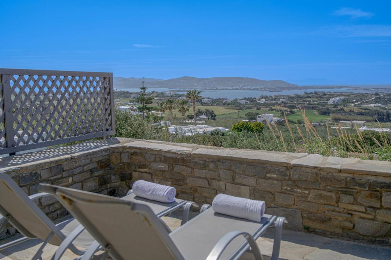 Anthemion Paros - &