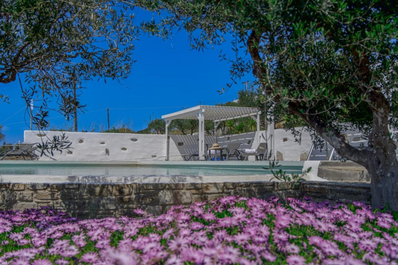 Villa Anthemion Paros - & Agia Irini (Paros)