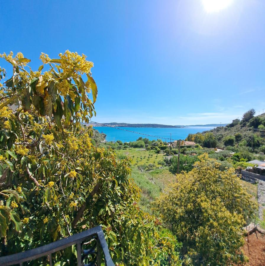 Sea View Dream Apartment