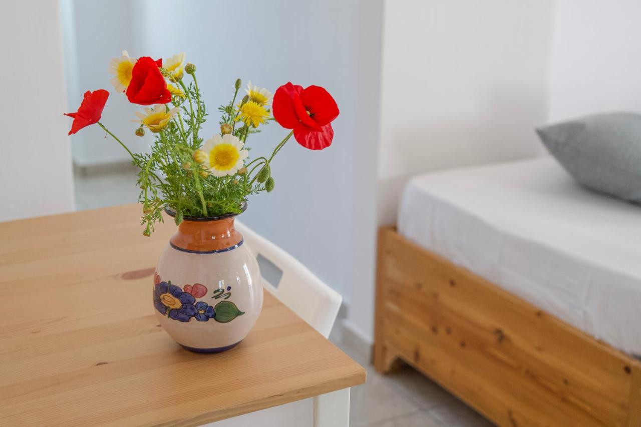 Eva House Dryos Paros Apartment