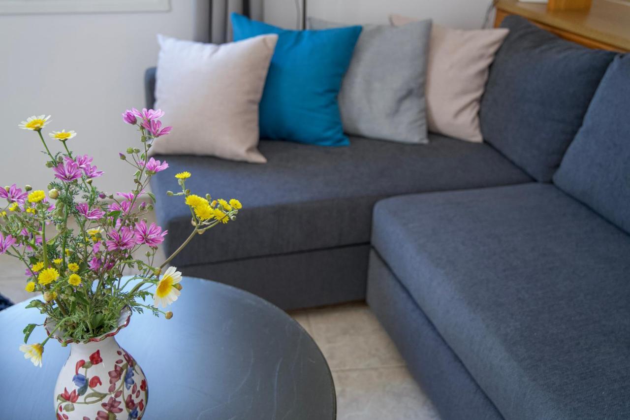 Eva House Dryos Paros Apartment
