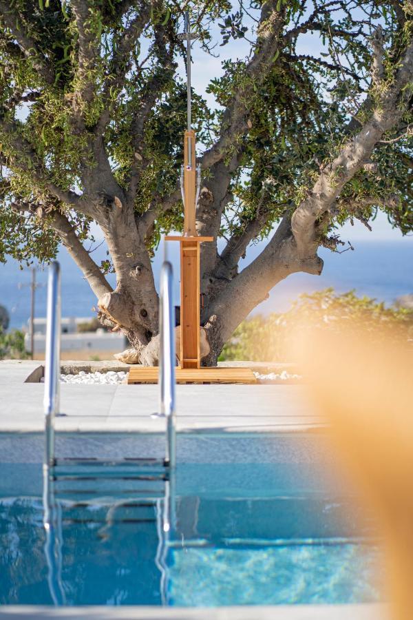 Santa Marina Syros Villa
