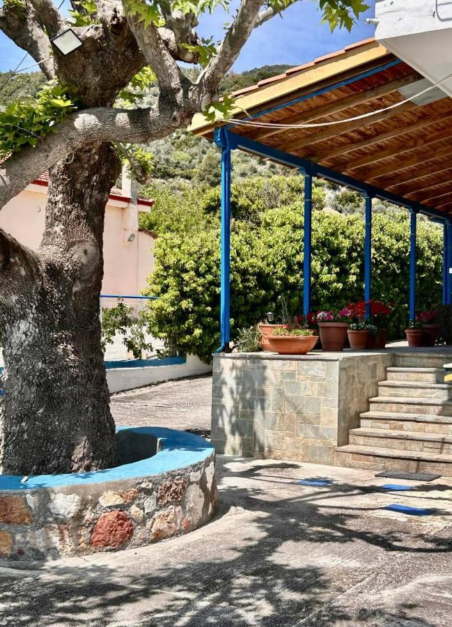 Guest house αγκυροβόλιο *