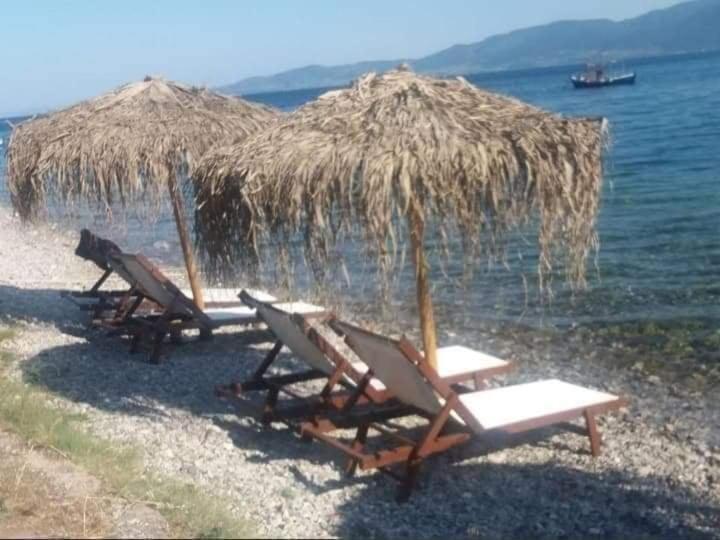 Aggeliki *