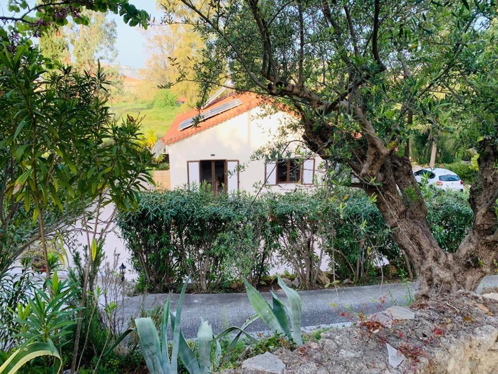 Garden * Gialova