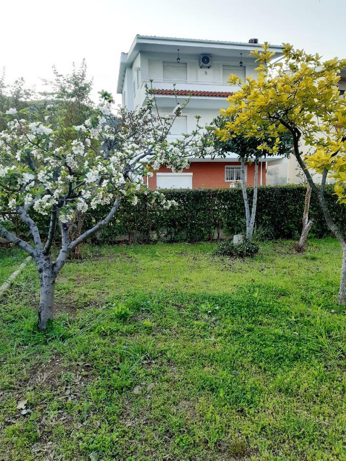 Holiday home Alice's Land Nea Iraklitsa