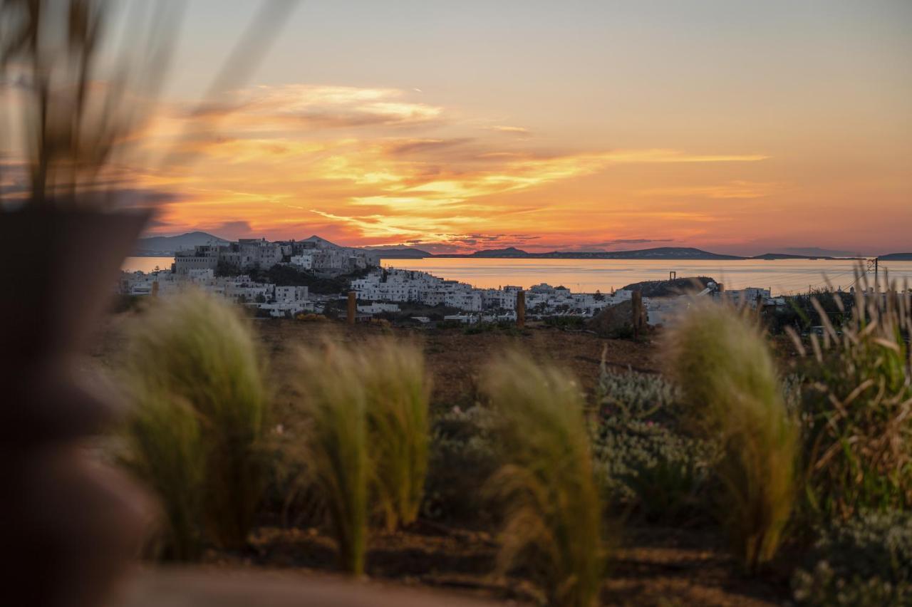 Opuntia Villa Naxos City
