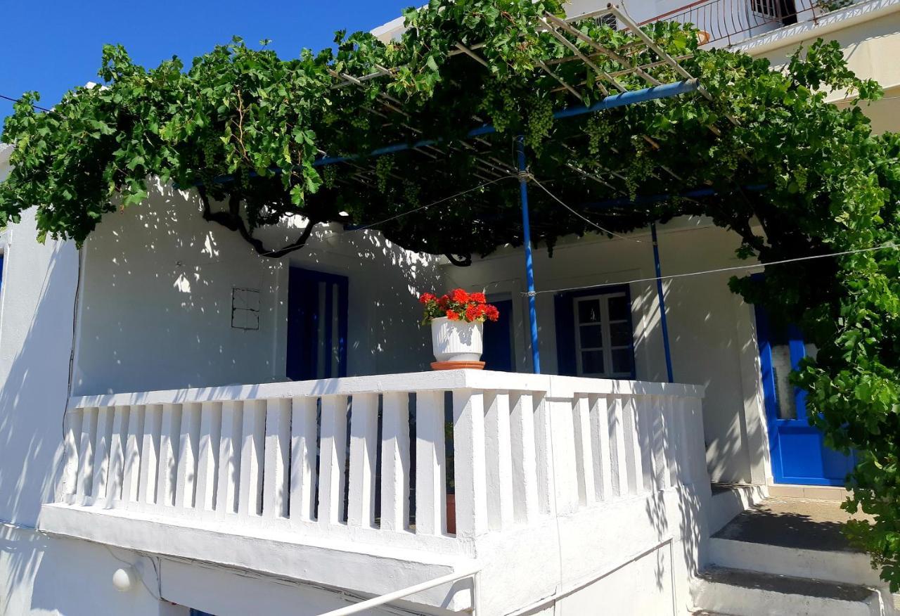 Blue Aegean Batsi (Andros)