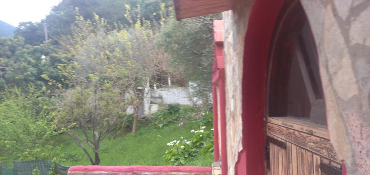Kastania..2 *
